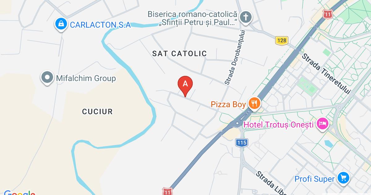 Casă individuală 217 mp cu 4 camere în zona Sud-Vest, Onești