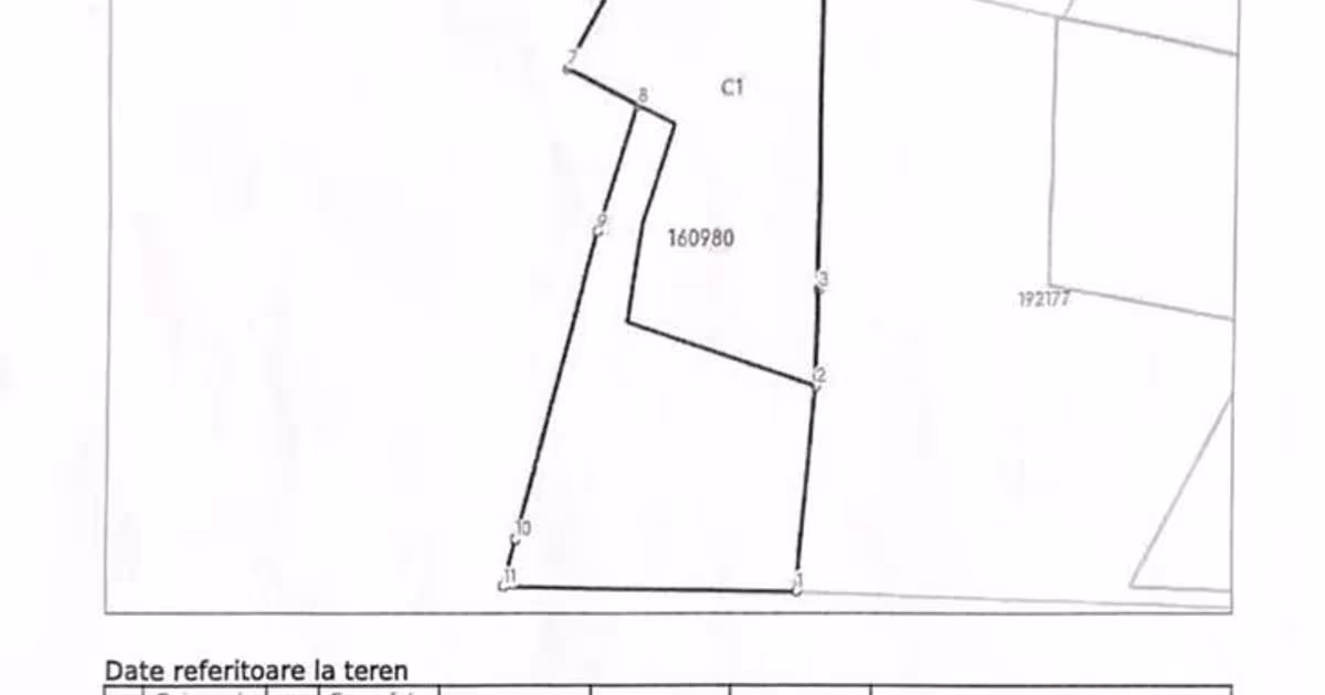 Casă individuală cu 3 camere în zona Ultracentral, Oradea