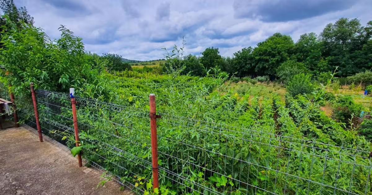 Casă individuală 170 mp cu 4 camere în Orbeni