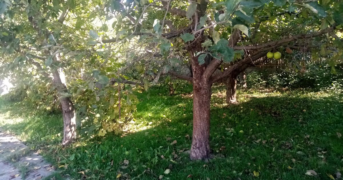 Casă individuală 120 mp cu 4 camere în zona Central, Pucioasa