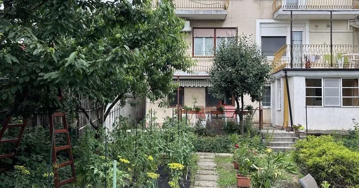 Casă individuală cu 10 camere în zona Central, Satu Mare