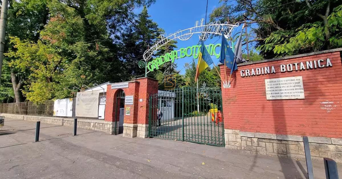 Casă individuală 160 mp cu 5 camere în zona Cotroceni, Sector 5