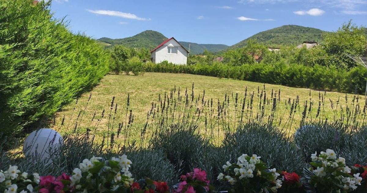 Casă individuală 150 mp cu 4 camere în zona Central, Seini