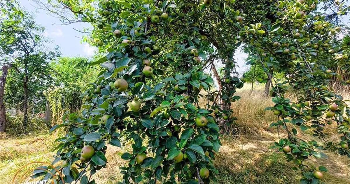 Casă individuală 60 mp cu 2 camere în zona Exterior Est, Sfântu Gheorghe