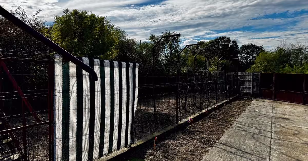 Casă individuală 100 mp cu 5 camere în Silișteni