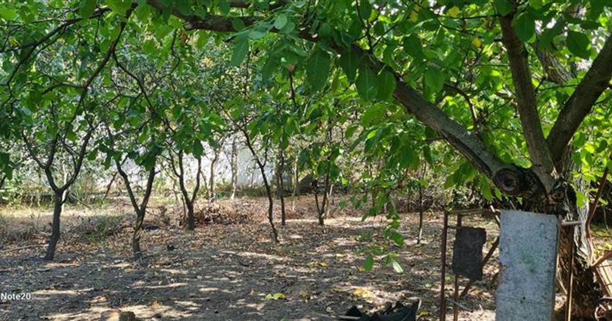 Casă individuală cu 3 camere în Șiria