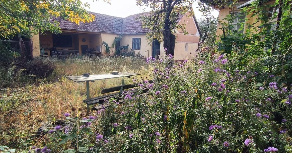 Casă individuală cu 4 camere în Șiria