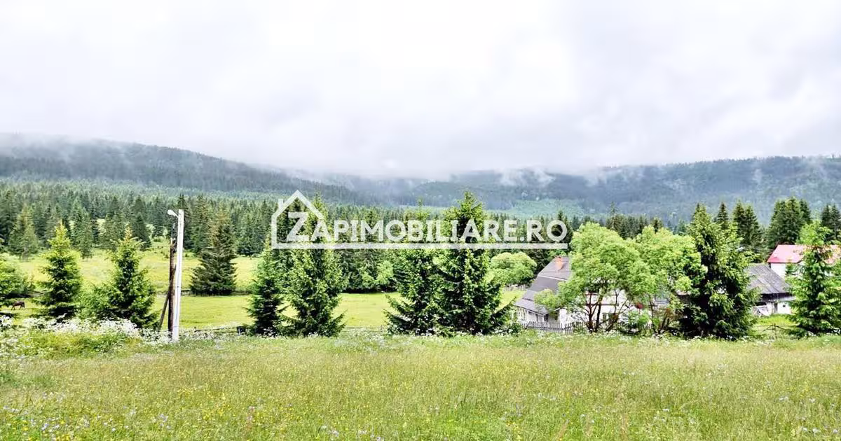 Casă individuală 1,300 mp cu 25 camere în zona Exterior Est, Târgu Mureș