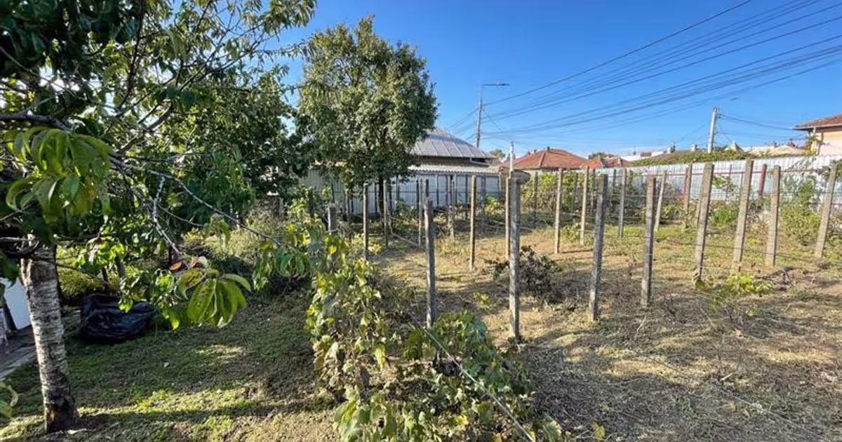 Casă individuală cu 3 camere în zona 23 August, Tulcea