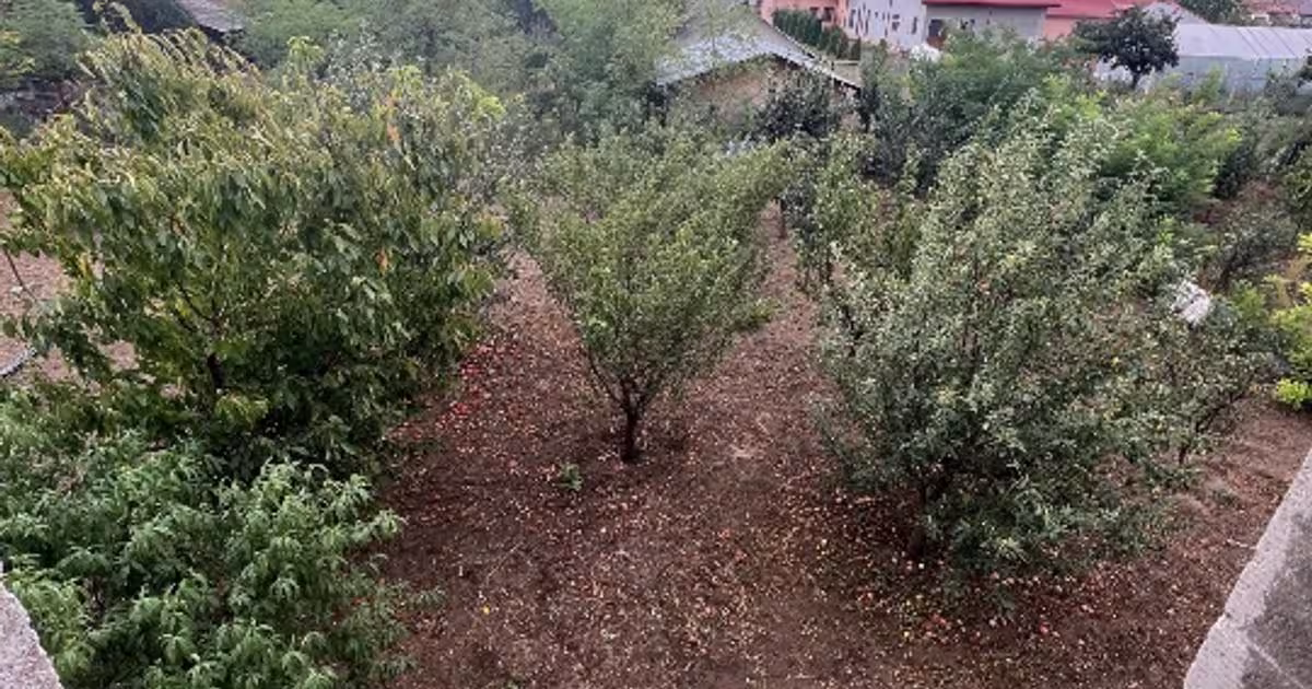 Casă individuală 330 mp cu 4 camere în Vadu Pașii