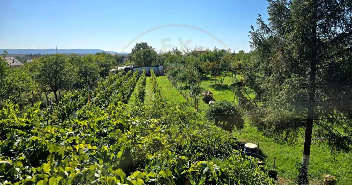 Casă individuală 70 mp cu 3 camere în Viile Satu Mare