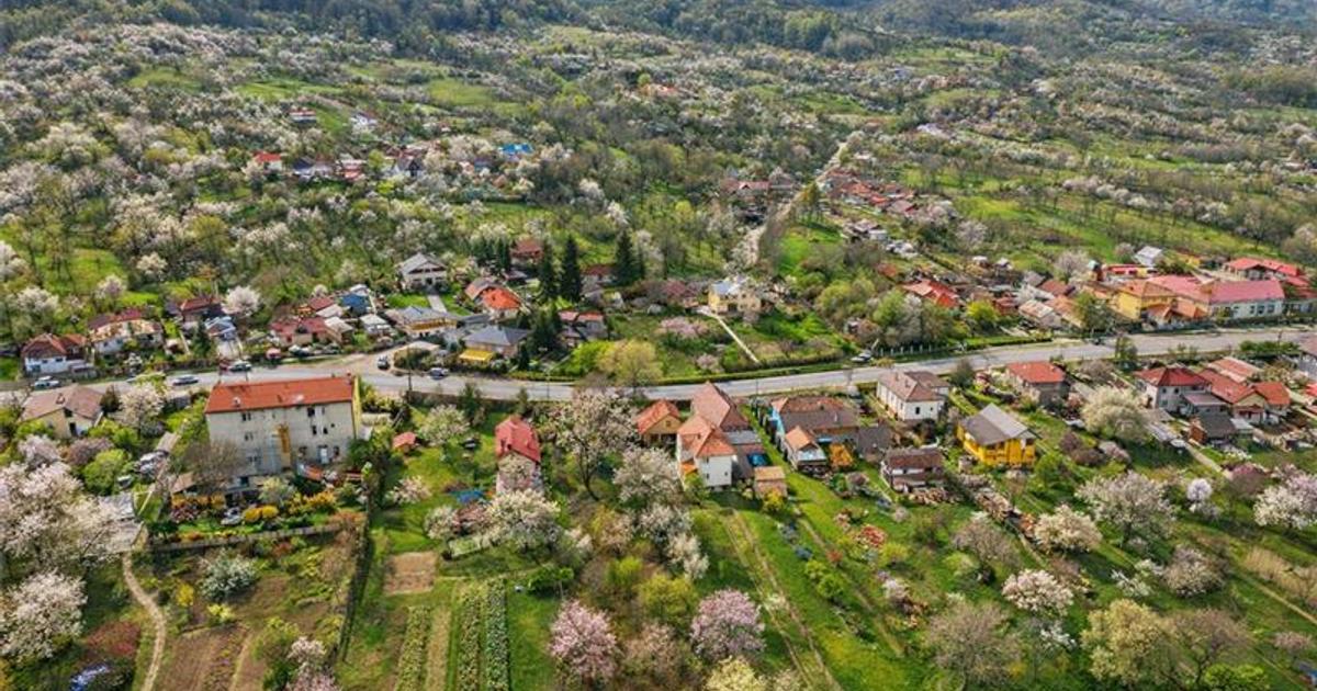 Casă individuală cu 3 camere în Viperești