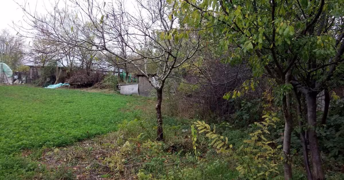 Casă individuală 116 mp cu 3 camere în zona Vest, Zimnicea