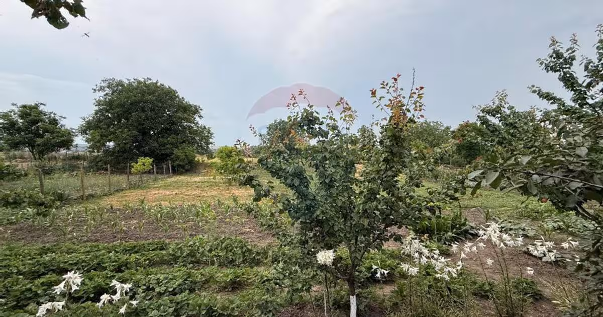 Casă individuală cu 6 camere în Zorleni