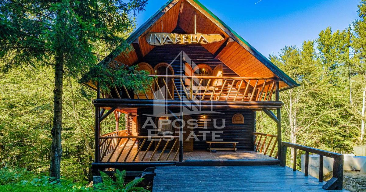 Hotel/Pensiune în Râu de Mori