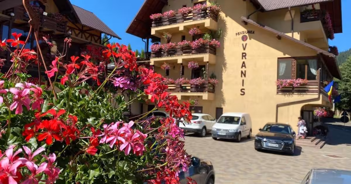 Hotel/Pensiune 20 mp în Sadova
