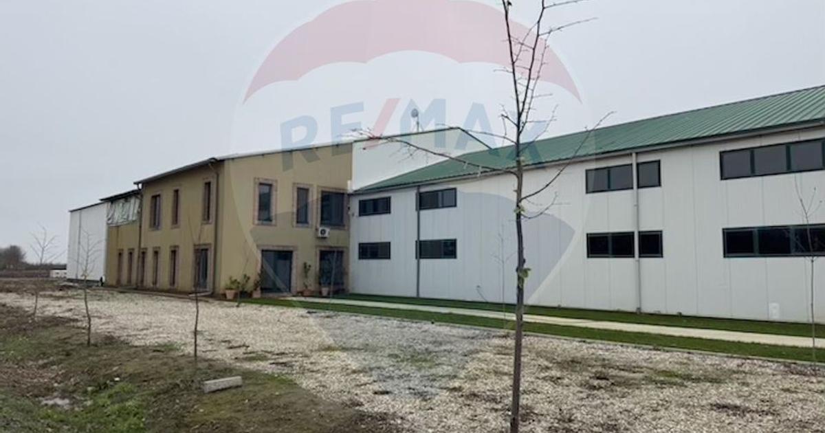 Proprietate specială în Adunații-Copăceni