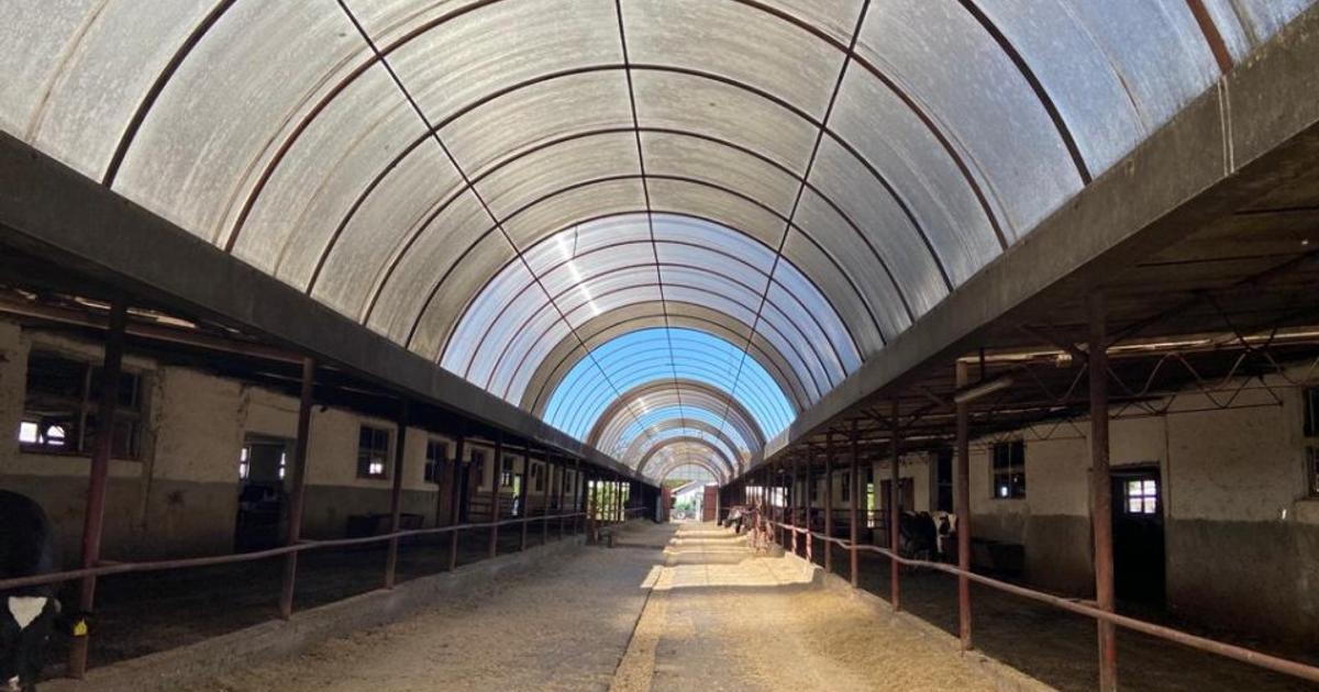 Proprietate specială 370000 mp în Cotorca