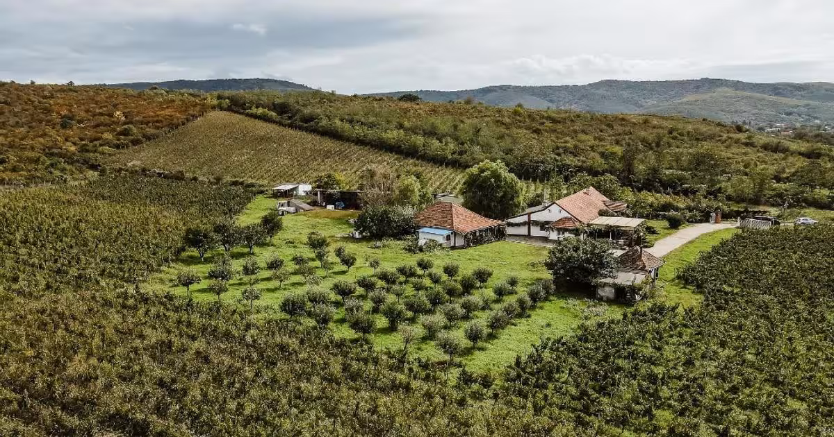 Proprietate specială 1000 mp în Ghioroc