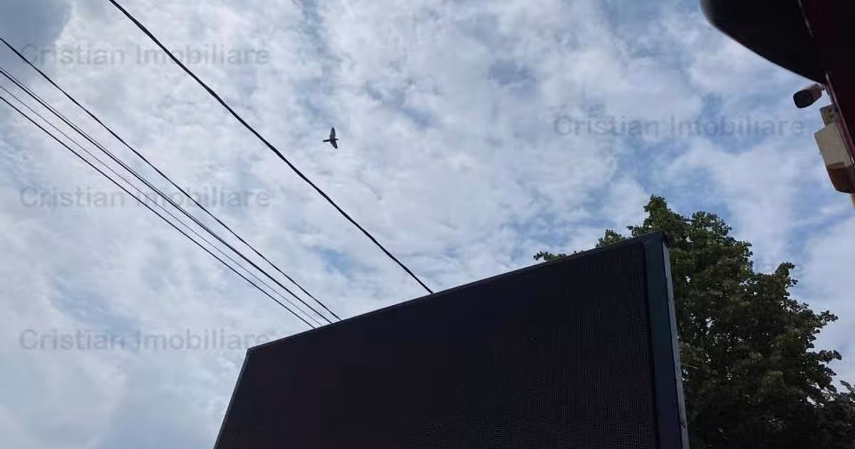 Spațiu comercial în zona Buzaului, Brăila