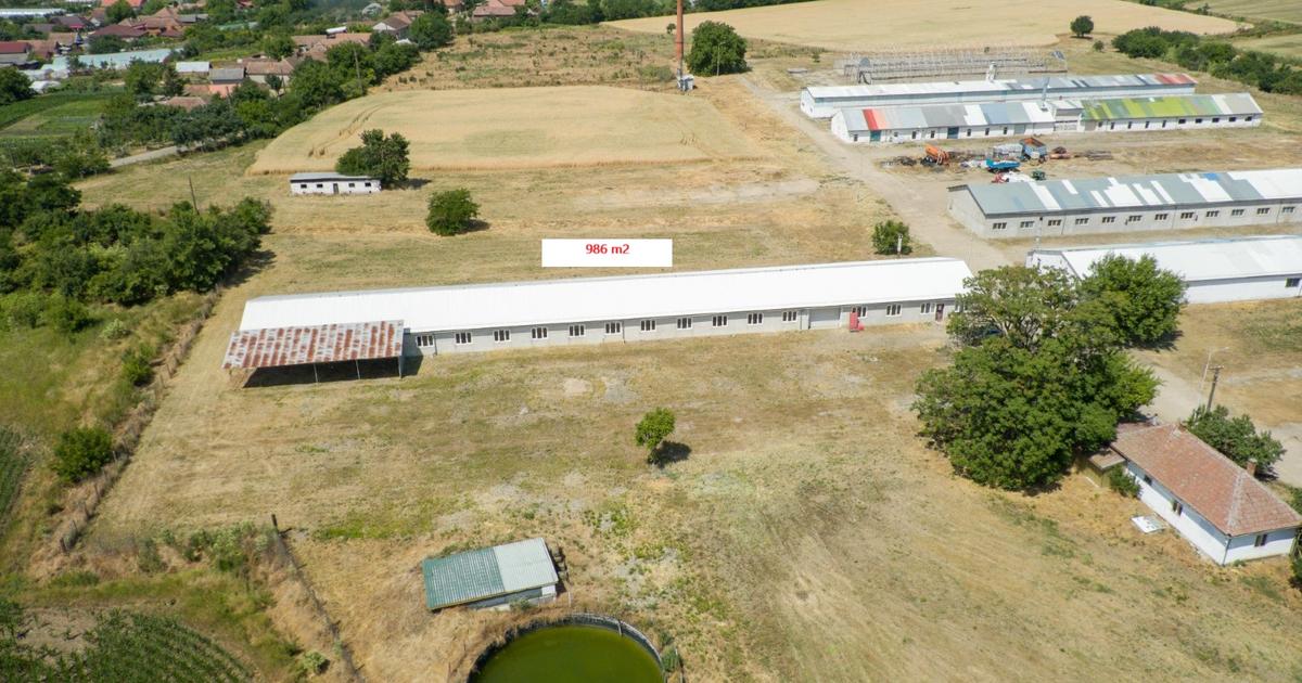 Spațiu comercial 908 mp în Roșiori