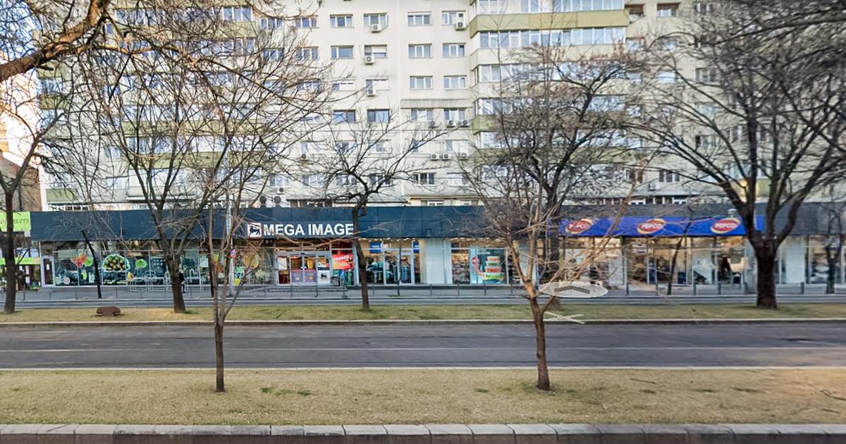 Spațiu comercial 638.39 mp în zona Titulescu, Sector 1