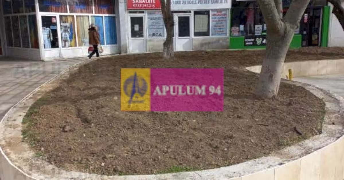Spațiu comercial 163 mp în zona Central, Alexandria