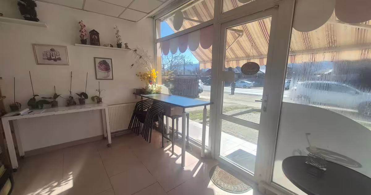 Spațiu comercial 262 mp în Alexandru cel Bun