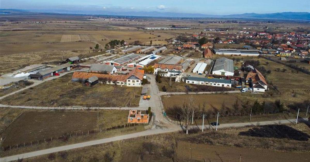 Spațiu comercial 9000 mp în Boroșneu Mare