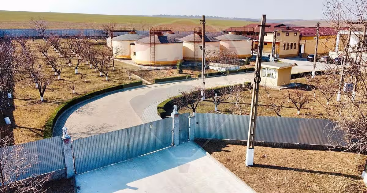 Spațiu comercial în Buciumeni