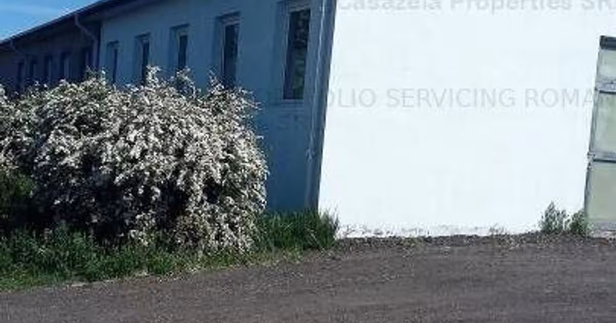Spațiu comercial în Manoleasa