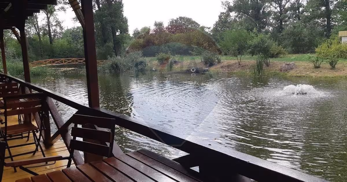 Spațiu comercial în Obrejița