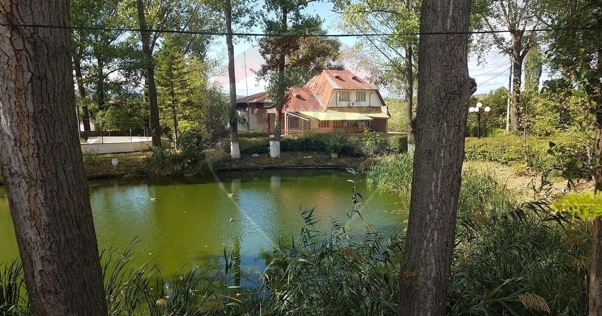 Spațiu comercial în Obrejița