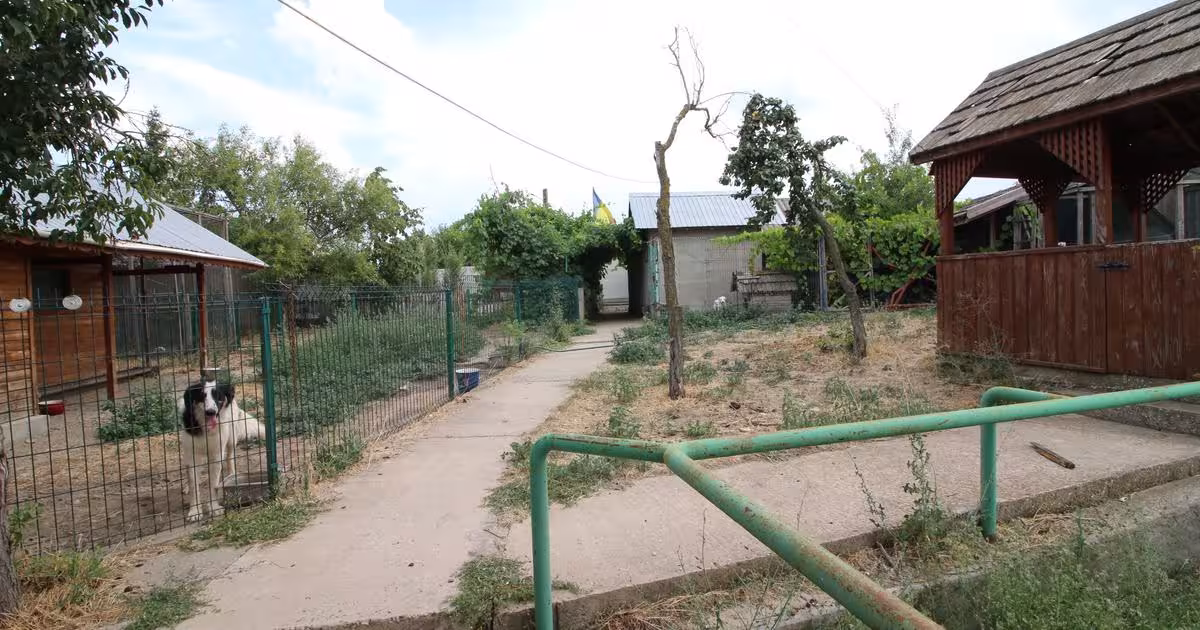 Spațiu comercial 3000 mp în Scânteiești