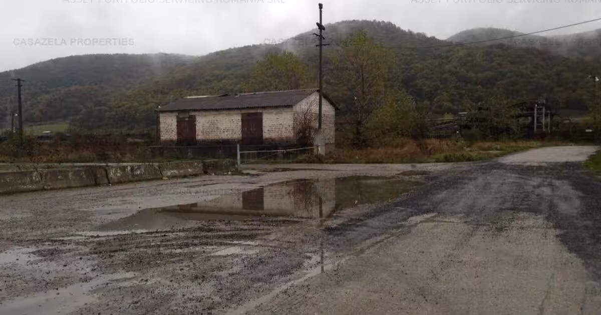 Spațiu comercial în Vețel
