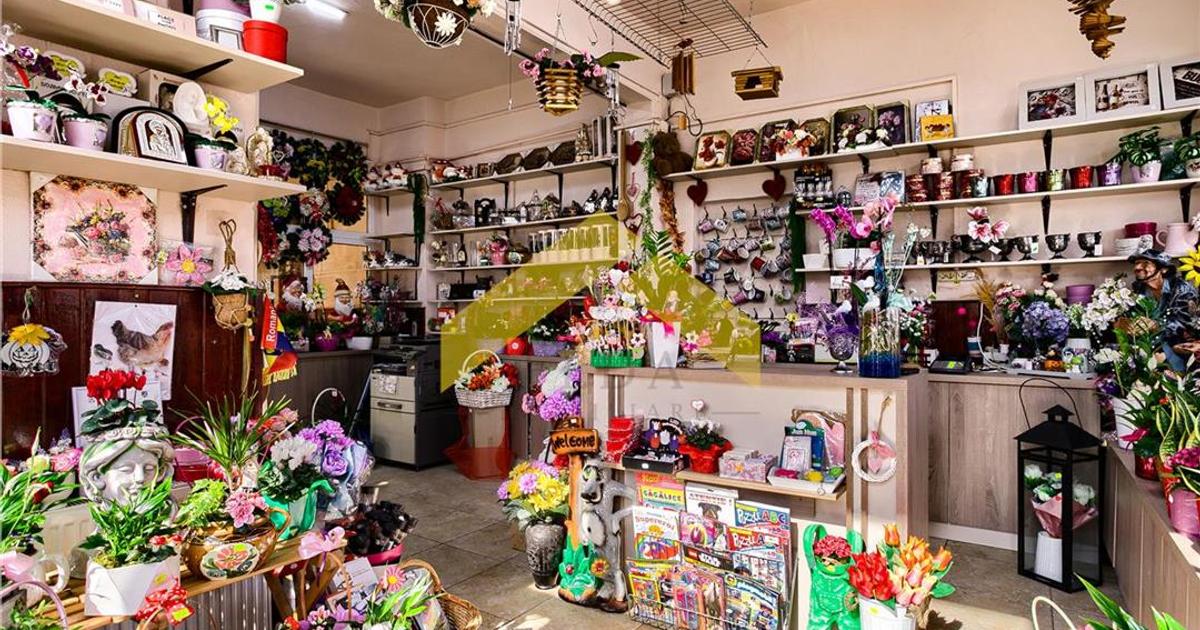 Spațiu comercial 128 mp în Vladimirescu