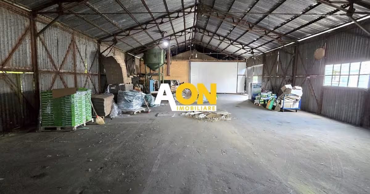 Spațiu industrial în zona Ampoi 1, Alba Iulia