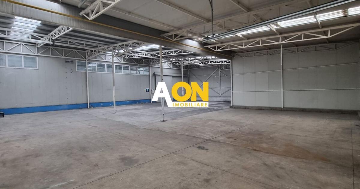 Spațiu industrial în zona Central, Alba Iulia