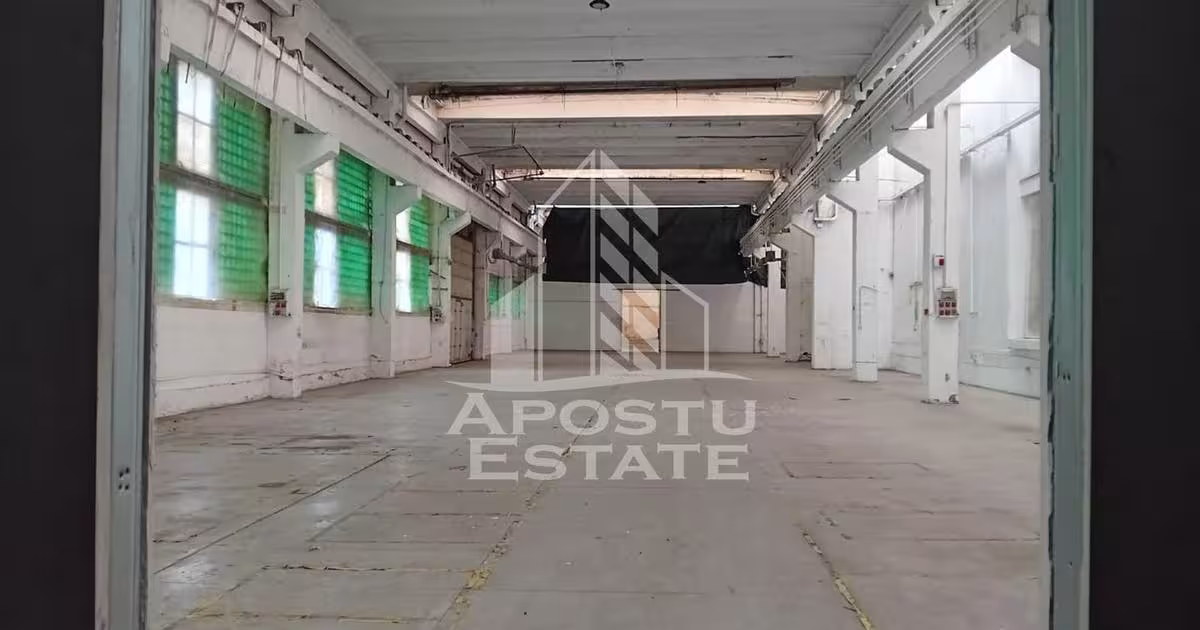 Spațiu industrial în zona Sânnicolau Mic, Arad