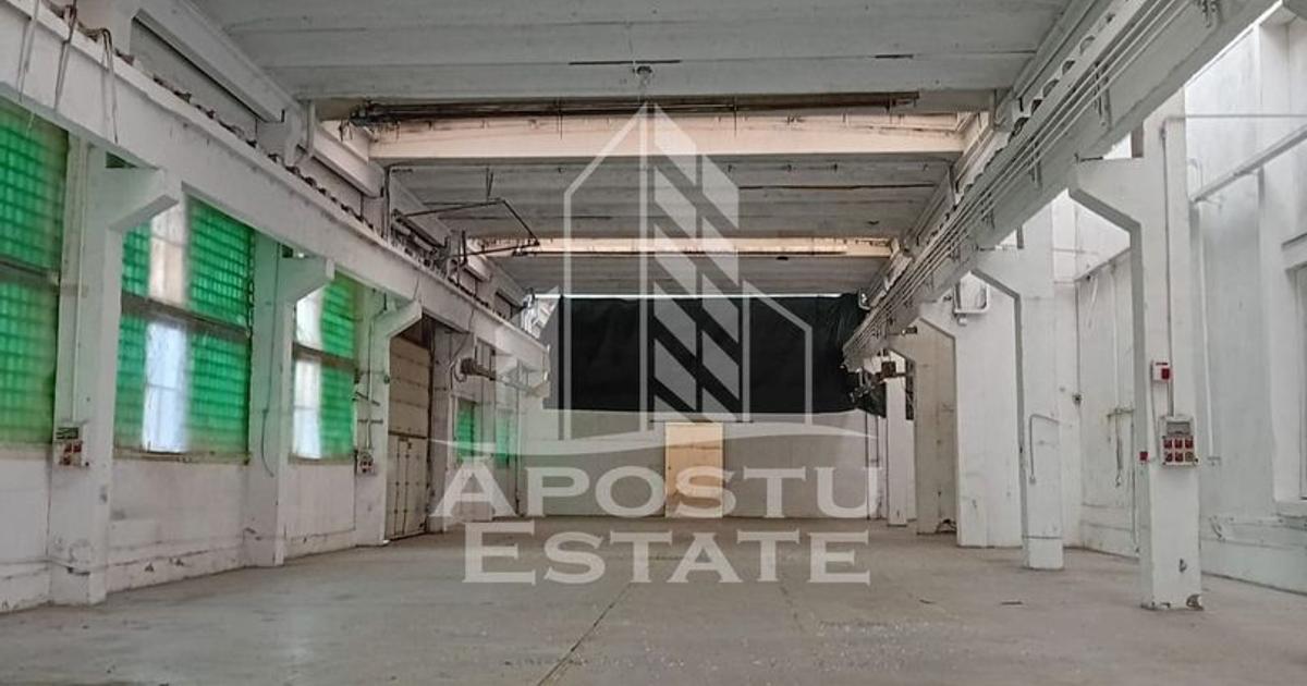 Spațiu industrial în zona Sânnicolau Mic, Arad