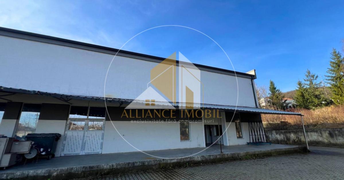 Spațiu industrial în zona Viișoara, Bistrița