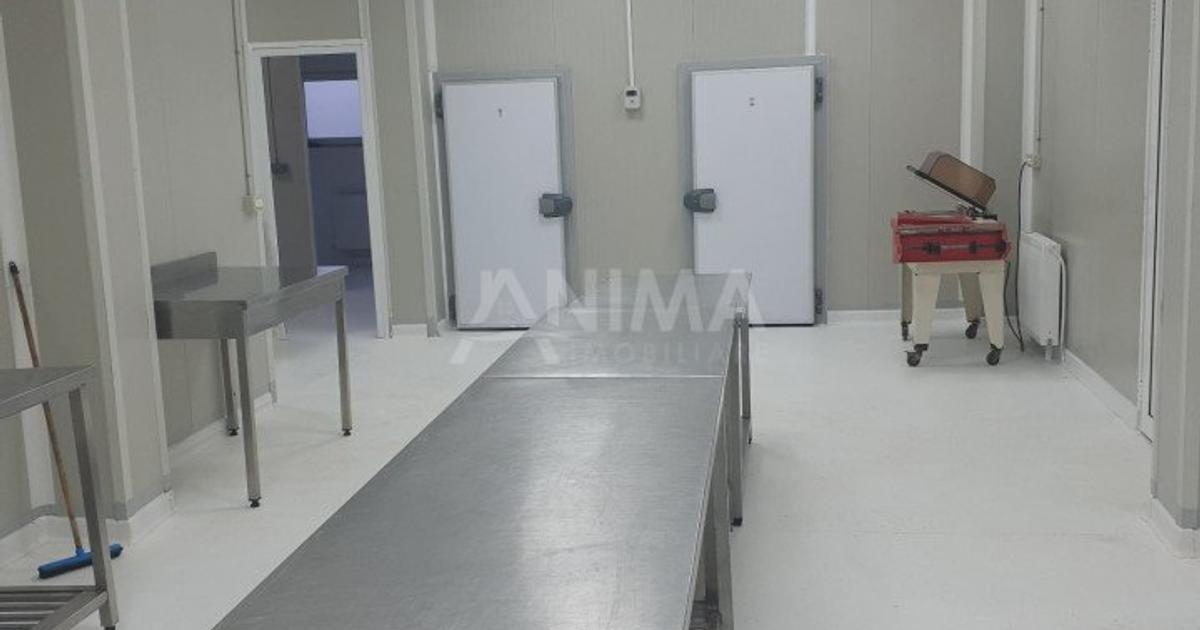 Spațiu industrial 220 mp în zona Mărăști, Cluj-Napoca