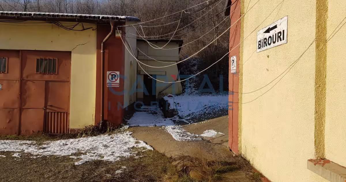 Spațiu industrial 600 mp în Doman