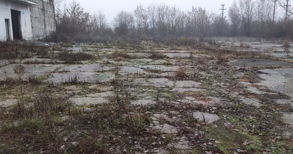Spațiu industrial în Mitreni