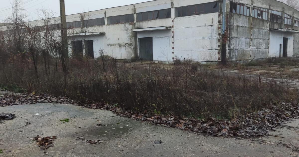 Spațiu industrial în Mitreni