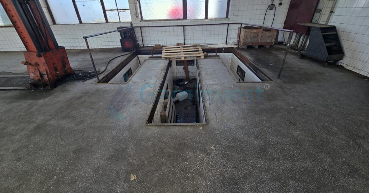 Spațiu industrial 100 mp în zona Calea Clujului, Oradea