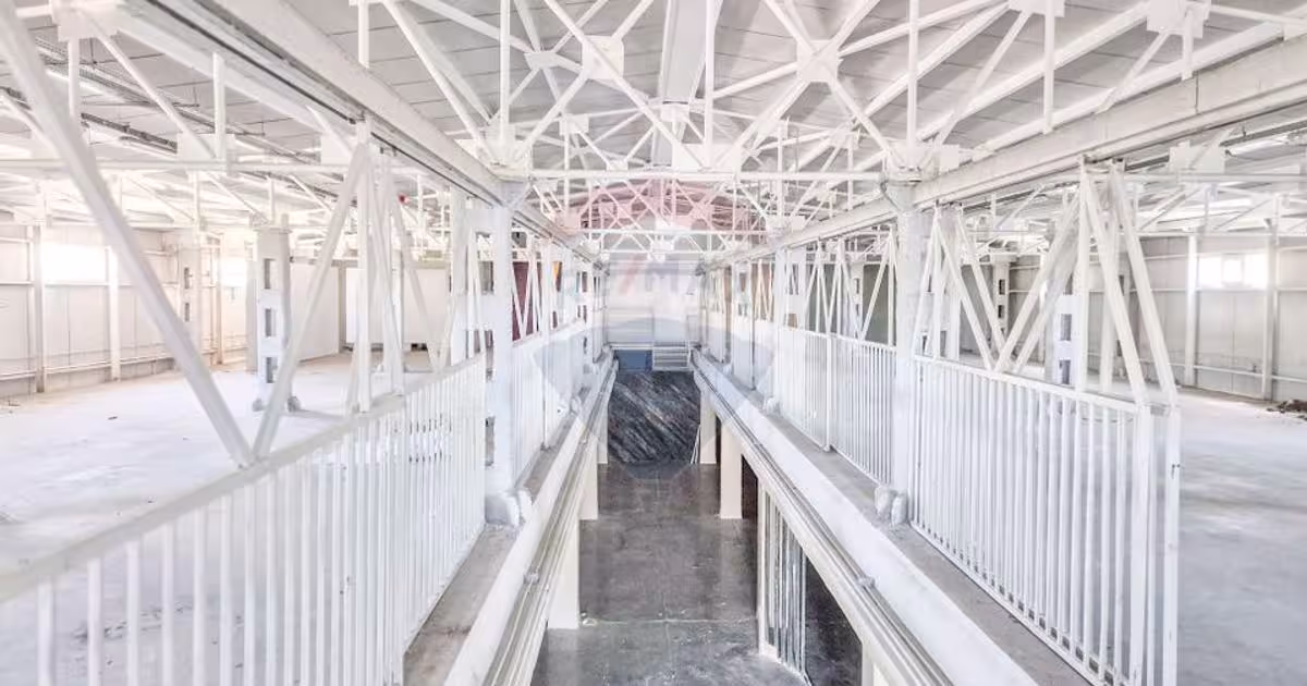 Spațiu industrial în zona Pipera, Sector 1