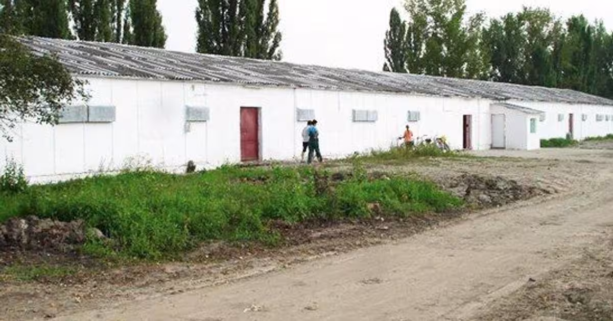 Spațiu industrial în zona Exterior Vest, Arad
