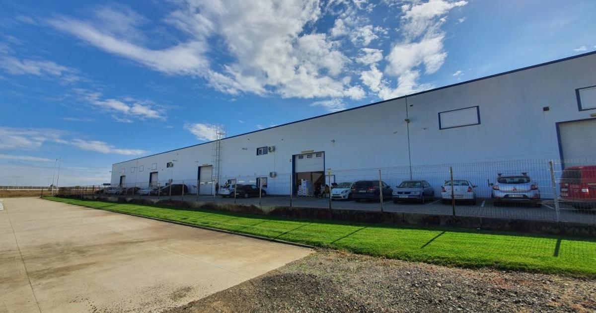 Spațiu industrial 853 mp în zona Sud, Arad