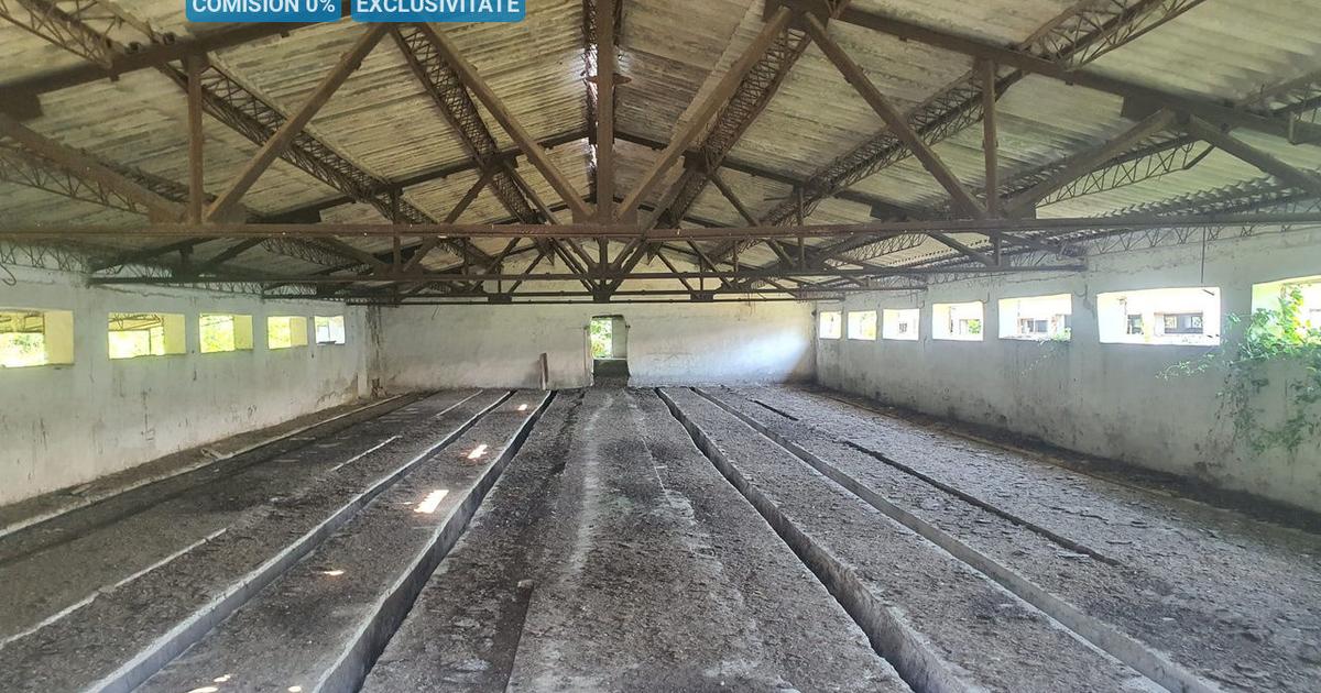 Spațiu industrial 1260 mp în Balotești